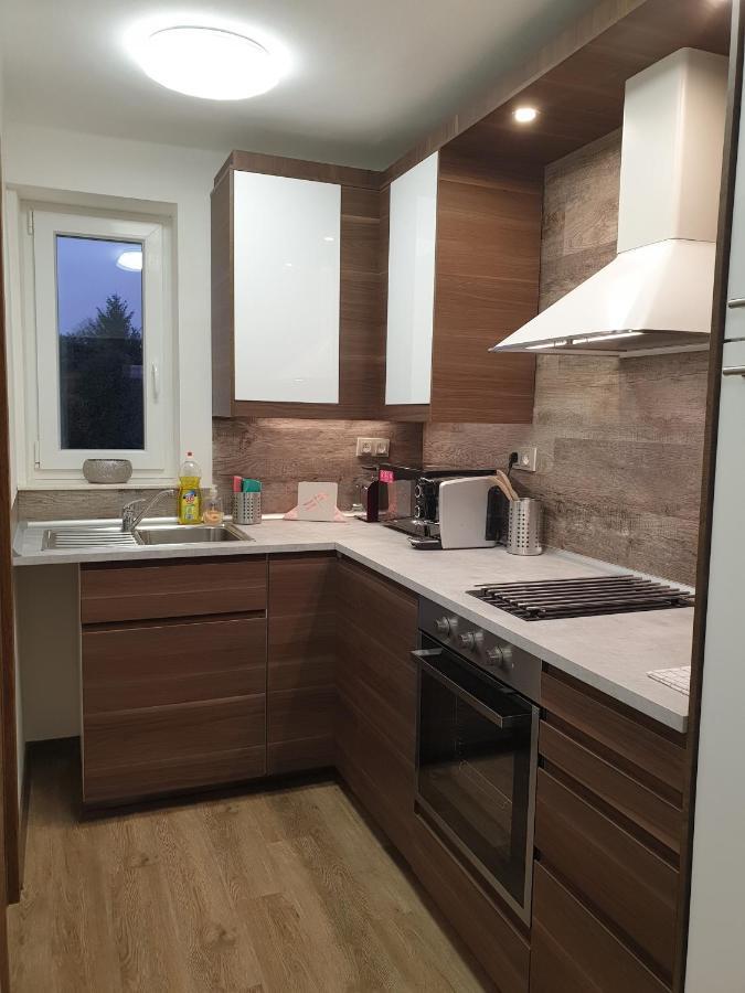 Apartman U Labe Nymburk Dış mekan fotoğraf